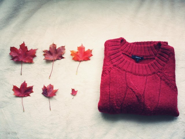 Модные и теплые свитера на осень 2016